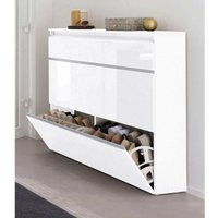 Dmora - Schuhschrank Dlukak, Mehrzweckschrank mit 2 Türen und 1 Klapptür, Eingangsschuhregal, 100 % Made in Italy, cm 120x27h108, glänzend weiß von DMORA