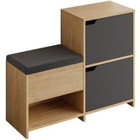 Schuhschrank Felis, Schuhregal, Mehrzweck-Eingangsgarderobe, Möbel für Schuhe, 102x36 h81 cm, Anthrazit und Eiche - Dmora von DMORA