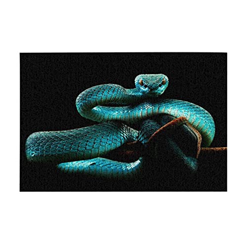 DMORJ PVC-Fußmatte mit blauem Schlangenmuster: >> 69 x 39 cm, rutschfeste Matten, verschleißfest, langlebig, sicher von DMORJ