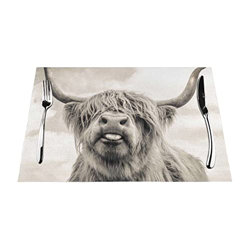 Lustige PVC-gewebte Tischsets mit Highland-Kuh-Motiv, hitzebeständig, rutschfest, hitzebeständig, leicht zu reinigen. 45,7 x 30,5 cm von DMORJ