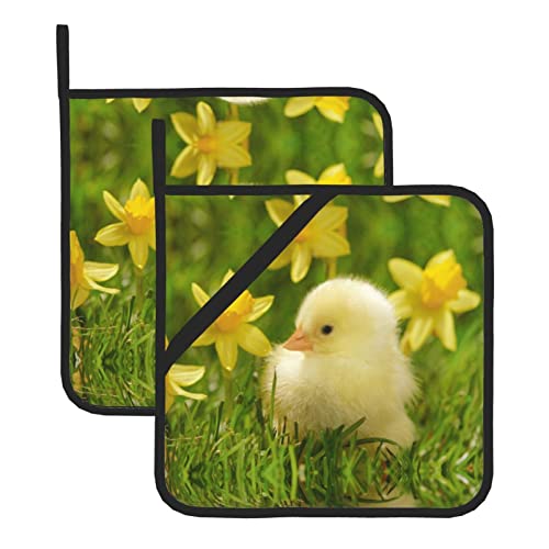 Niedliche Baby-Enten, quadratisch, isolierter Topflappen – 20,3 x 20,3 cm (zweiteiliges Set), dick und langlebig, Verbrühungsschutz. von DMORJ