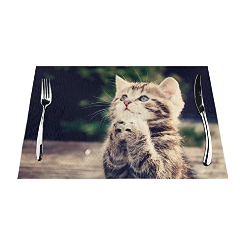 PVC-Tischsets mit Katzenmotiv, rutschfest, hitzebeständig, leicht zu reinigen, 45,7 x 30,5 cm, schützt den Tisch von DMORJ