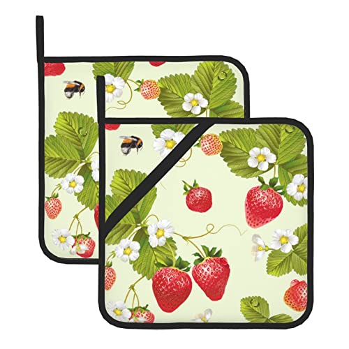 Schönes Erdbeer-Topflappen-Set (zweiteilig) – 20,3 x 20,3 cm, dick und langlebig, Verbrühungsschutz, Wärmeisolierung von DMORJ