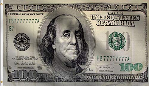 DMSE 100 One Hundred Dollar Bill Flagge, 6 x 90 cm, 100 % Polyester, 100D Flagge von DMSE Wholesale