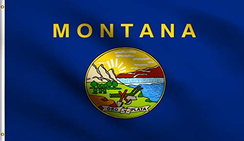 DMSE Montana 41st State 1889 Flagge, 100% Polyester, 100 D, UV-beständig 3' X 5' Ft Foot 3' X 5' Ft Foot von DMSE Wholesale