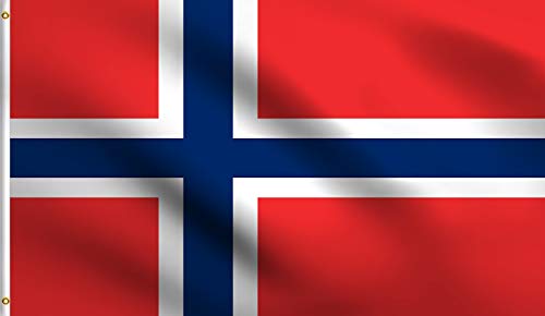 DMSE Norwegische Skandinavische Flagge Norwegens mit Kreuz-Flagge, 90 x 150 m, 100% Polyester, 100 D Flagge, UV-beständig 2' X 3' Ft Foot 2' X 3' Ft Foot von DMSE Wholesale