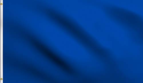 DMSE Solide Blanko-Flagge, 60 x 90 cm, UV-beständig (2 x 3 Nylon, Königsblau) von DMSE Wholesale