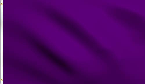 DMSE violette einfarbige Blanko-Flagge, 90 x 150 cm, UV-beständig (3 x 5 Nylon, lila) von DMSE Wholesale