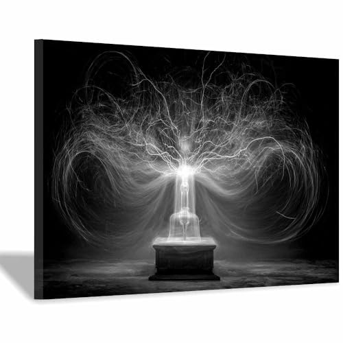 DMZPKZB Schwarz-Weiß-Wandkunst Elektrooptischer Baum Raumdekor-Poster & Bilder,für Wohnzimmer, Schlafzimmer, Küche, Badezimmer, Wanddekoration(Schwarz Weiß)-70x100cm Gerahmt von DMZPKZB