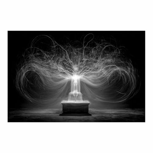 DMZPKZB Schwarz-Weiß-Wandkunst Elektrooptischer Baum Raumdekor-Poster & Bilder,für Wohnzimmer, Schlafzimmer, Küche, Badezimmer, Wanddekoration(Schwarz Weiß)-70x100cm Ungerahmt von DMZPKZB