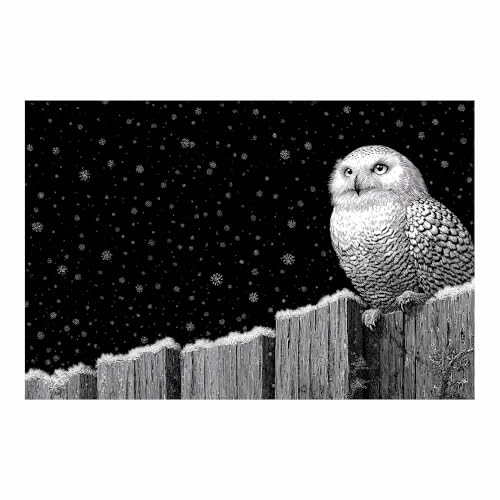 DMZPKZB Schwarz-Weiß-Wandkunst Eule Raumdekor-Poster & Bilder,für Wohnzimmer, Schlafzimmer, Küche, Badezimmer, Wanddekoration(Schwarz Weiß)-60x90cm Ungerahmt von DMZPKZB