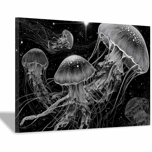 DMZPKZB Schwarz-Weiß-Wandkunst Sterne Jellyfish Raumdekor-Poster & Bilder,für Wohnzimmer, Schlafzimmer, Küche, Badezimmer, Wanddekoration(Schwarz Weiß)-50x70cm Gerahmt von DMZPKZB