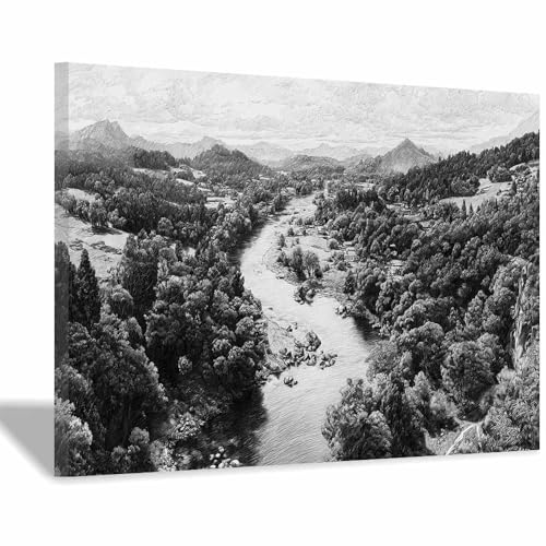 DMZPKZB Schwarz und weiß Leinwand Bilder Flusstal Forestss Groß Schlafzimmer Bilder,Badezimmer Wand Deko,Wohnzimmer Moderne Wanddeko Bilderwand(Schwarz Weiß)-60x90cm Gerahmt von DMZPKZB