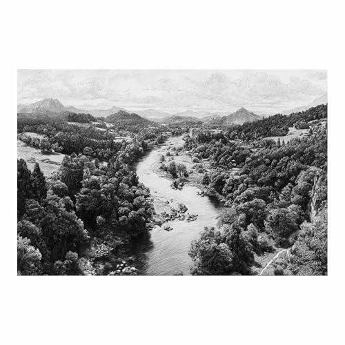 DMZPKZB Schwarz und weiß Leinwand Bilder Flusstal Forestss Groß Schlafzimmer Bilder,Badezimmer Wand Deko,Wohnzimmer Moderne Wanddeko Bilderwand(Schwarz Weiß)-70x100cm Ungerahmt von DMZPKZB