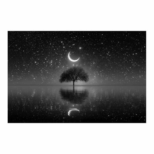 DMZPKZB Schwarz und weiß Leinwand Bilder Lely molit Nacht Baum Groß Schlafzimmer Bilder,Badezimmer Wand Deko,Wohnzimmer Moderne Wanddeko Bilderwand(Schwarz Weiß)-60x90cm Ungerahmt von DMZPKZB