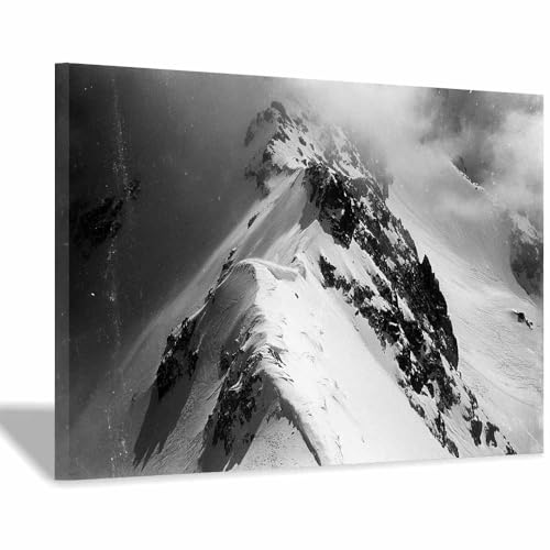 DMZPKZB Schwarz und weiß Leinwand Bilder Nebelige Gipfel Groß Schlafzimmer Bilder,Badezimmer Wand Deko,Wohnzimmer Moderne Wanddeko Bilderwand(Schwarz Weiß)-50x70cm Gerahmt von DMZPKZB