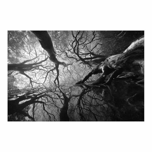 DMZPKZB Schwarz und weiß Leinwand Bilder Schwarz und weiß reflektiert Groß Schlafzimmer Bilder,Badezimmer Wand Deko,Wohnzimmer Moderne Wanddeko Bilderwand(Schwarz Weiß)-70x100cm Ungerahmt von DMZPKZB