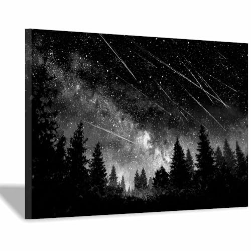 DMZPKZB Schwarz und weiß Leinwand Bilder Sternenwald Groß Schlafzimmer Bilder,Badezimmer Wand Deko,Wohnzimmer Moderne Wanddeko Bilderwand(Schwarz Weiß)-70x100cm Gerahmt von DMZPKZB