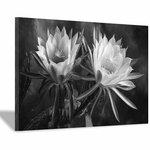 DMZPKZB bilder schwarz weiß Schwarze und weiße Blumen Modern Bild auf Leinwand,Abstrakte Wandkunstdrucke,Wandbild für Wohnzimmer Schlafzimmer,Büro(Schwarz Weiß)-70x100cm Gerahmt von DMZPKZB