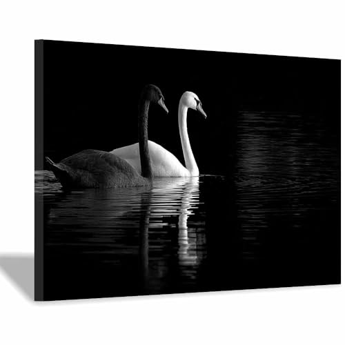 DMZPKZB bilder schwarz weiß Schwarze und weiße Schwäne Modern Bild auf Leinwand,Abstrakte Wandkunstdrucke,Wandbild für Wohnzimmer Schlafzimmer,Büro(Schwarz Weiß)-70x100cm Gerahmt von DMZPKZB