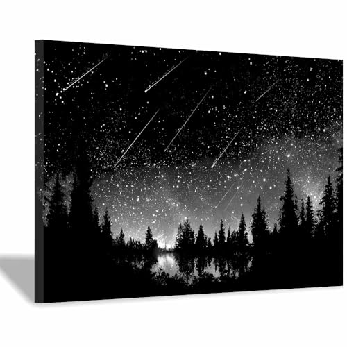 DMZPKZB bilder schwarz weiß Sterne am See Modern Bild auf Leinwand,Abstrakte Wandkunstdrucke,Wandbild für Wohnzimmer Schlafzimmer,Büro(Schwarz Weiß)-30x45cm Gerahmt von DMZPKZB