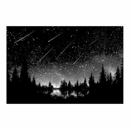 DMZPKZB bilder schwarz weiß Sterne am See Modern Bild auf Leinwand,Abstrakte Wandkunstdrucke,Wandbild für Wohnzimmer Schlafzimmer,Büro(Schwarz Weiß)-80x120cm Ungerahmt von DMZPKZB