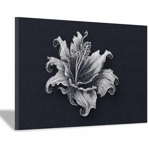 DMZPKZB bilder schwarz weiß dunkler Hintergrund Modern Bild auf Leinwand,Abstrakte Wandkunstdrucke,Wandbild für Wohnzimmer Schlafzimmer,Büro(Schwarz Weiß)-70x100cm Gerahmt von DMZPKZB