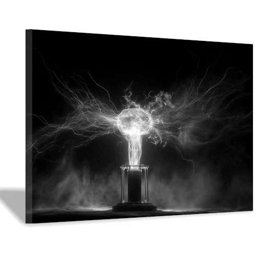DMZPKZB poster schwarz-weiß Elektrooptisches Gerät Wandbilder Wohnzimmer Moderne,Poster Kunstdruck Wandbilder,für Schlafzimmer,Badezimmer,Büro Deko Leinwandbilder(Schwarz Weiß)-30x45cm Gerahmt von DMZPKZB