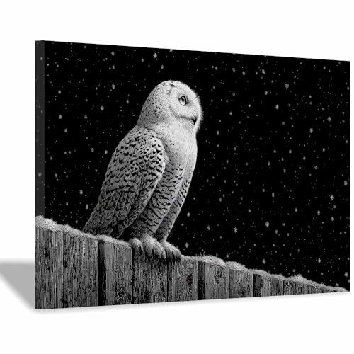 DMZPKZB poster schwarz-weiß Eule eine schneeige Nacht Wandbilder Wohnzimmer Moderne,Poster Kunstdruck Wandbilder,für Schlafzimmer,Badezimmer,Büro Deko Leinwandbilder(Schwarz Weiß)-30x45cm Gerahmt von DMZPKZB