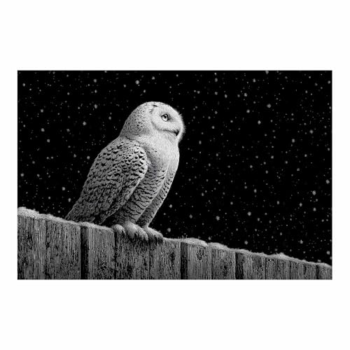 DMZPKZB poster schwarz-weiß Eule eine schneeige Nacht Wandbilder Wohnzimmer Moderne,Poster Kunstdruck Wandbilder,für Schlafzimmer,Badezimmer,Büro Deko Leinwandbilder(Schwarz Weiß)-60x90cm Ungerahmt von DMZPKZB