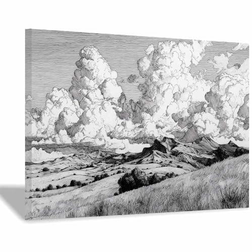 DMZPKZB poster schwarz-weiß Wolkendeckte Berge Wandbilder Wohnzimmer Moderne,Poster Kunstdruck Wandbilder,für Schlafzimmer,Badezimmer,Büro Deko Leinwandbilder(Schwarz Weiß)-30x45cm Gerahmt von DMZPKZB