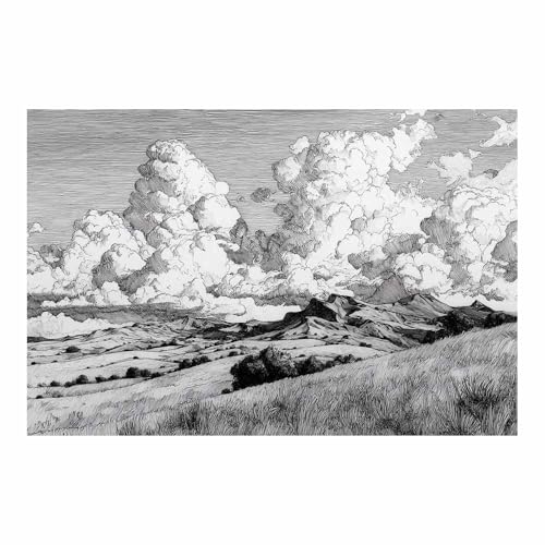 DMZPKZB poster schwarz-weiß Wolkendeckte Berge Wandbilder Wohnzimmer Moderne,Poster Kunstdruck Wandbilder,für Schlafzimmer,Badezimmer,Büro Deko Leinwandbilder(Schwarz Weiß)-60x90cm Ungerahmt von DMZPKZB