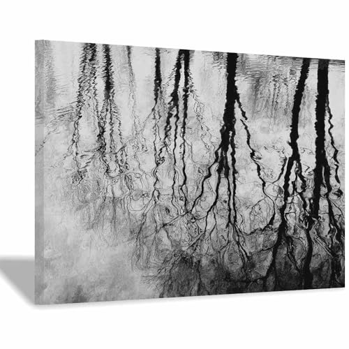 DMZPKZB schwarz weiß bilder Bäume das Wasser Vlies Leinwandbild Kunstdruck Wandbilder,Wohnzimmer Modern Leinwandbilder,Poster Wandbilder Schlafzimmer(Schwarz Weiß)-50x70cm Gerahmt von DMZPKZB