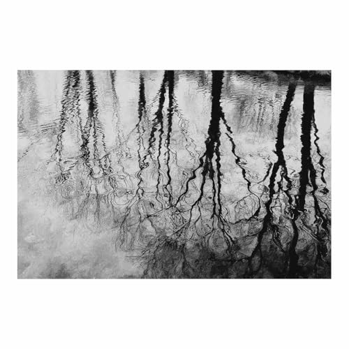 DMZPKZB schwarz weiß bilder Bäume das Wasser Vlies Leinwandbild Kunstdruck Wandbilder,Wohnzimmer Modern Leinwandbilder,Poster Wandbilder Schlafzimmer(Schwarz Weiß)-70x100cm Ungerahmt von DMZPKZB