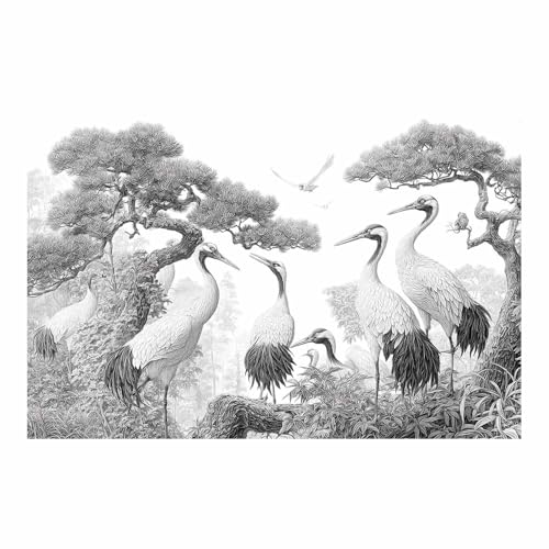 DMZPKZB schwarz weiß bilder Crane Porträts Vlies Leinwandbild Kunstdruck Wandbilder,Wohnzimmer Modern Leinwandbilder,Poster Wandbilder Schlafzimmer(Schwarz Weiß)-50x70cm Ungerahmt von DMZPKZB