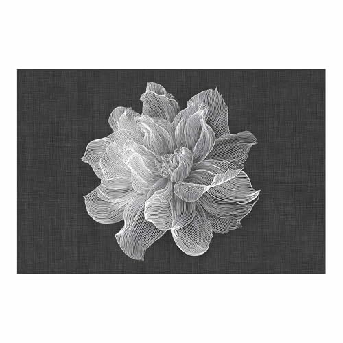 DMZPKZB schwarz weiß bilder Große Linienblume Vlies Leinwandbild Kunstdruck Wandbilder,Wohnzimmer Modern Leinwandbilder,Poster Wandbilder Schlafzimmer(Schwarz Weiß)-70x100cm Ungerahmt von DMZPKZB
