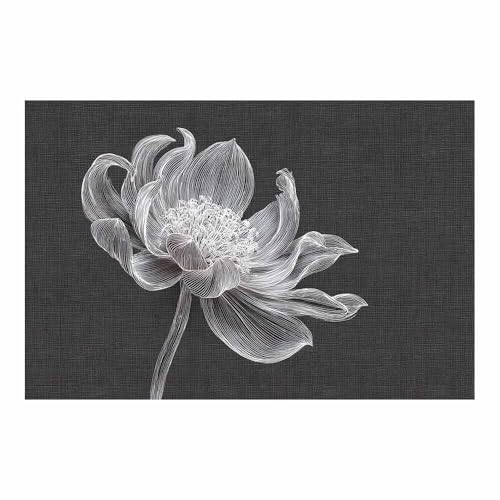 DMZPKZB schwarz weiss bilder Linie Lotuss Modernes Dekor Kunstwerk Wand Kunst,Poster Aesthetic Wandbilder,Wohnzimmer Schlafzimmer Wanddekoration(Schwarz Weiß)-70x100cm Ungerahmt von DMZPKZB