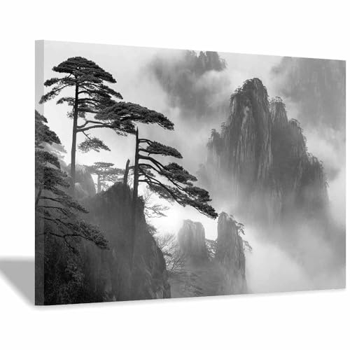DMZPKZB schwarz weiß bilder Nebelige Berge Vlies Leinwandbild Kunstdruck Wandbilder,Wohnzimmer Modern Leinwandbilder,Poster Wandbilder Schlafzimmer(Schwarz Weiß)-50x70cm Gerahmt von DMZPKZB