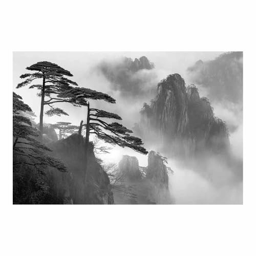 DMZPKZB schwarz weiß bilder Nebelige Berge Vlies Leinwandbild Kunstdruck Wandbilder,Wohnzimmer Modern Leinwandbilder,Poster Wandbilder Schlafzimmer(Schwarz Weiß)-60x90cm Ungerahmt von DMZPKZB