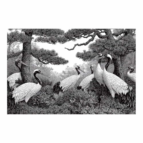 DMZPKZB schwarz weiss bilder Rotgekrönte Krane Modernes Dekor Kunstwerk Wand Kunst,Poster Aesthetic Wandbilder,Wohnzimmer Schlafzimmer Wanddekoration(Schwarz Weiß)-60x90cm Ungerahmt von DMZPKZB
