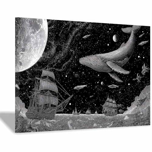 DMZPKZB schwarz weiß bilder Sternenräume Vlies Leinwandbild Kunstdruck Wandbilder,Wohnzimmer Modern Leinwandbilder,Poster Wandbilder Schlafzimmer(Schwarz Weiß)-70x100cm Gerahmt von DMZPKZB