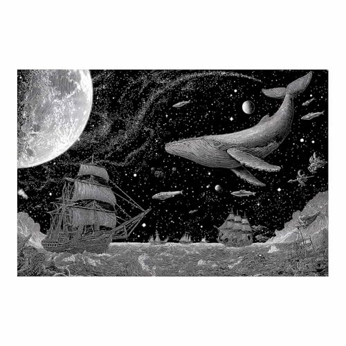 DMZPKZB schwarz weiß bilder Sternenräume Vlies Leinwandbild Kunstdruck Wandbilder,Wohnzimmer Modern Leinwandbilder,Poster Wandbilder Schlafzimmer(Schwarz Weiß)-80x120cm Ungerahmt von DMZPKZB