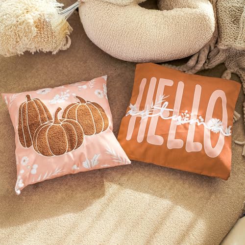 DN DECONATION Herbstdeko Kissenbezug 2er Set 45x45 cm Kürbis Halloween - Dekokissen Orange und Weiß für Wohnzimmer, Schlafzimmer, Bett & Sofa | Erntedankfest & Herbst Deko von DN DECONATION