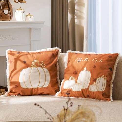 DN DECONATION Kissenbezug Kürbis Herbstdeko 45x45 2er Set Orange und Braun Kissenbezüge mit Quasten Deko Kissenhülle Kürbis Sofakissen für Wohnzimmer Schlafzimmer Halloween von DN DECONATION