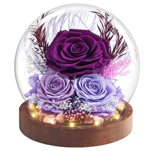 DN DECONATION Konservierte Ewige Rose im Glas Lila mit LED-Lichtern Infinity Blumen als Geschenk für Mama Oma Freundin für Valentinstag Muttertag Geburtstag Jahrestag Dekoration von DN DECONATION