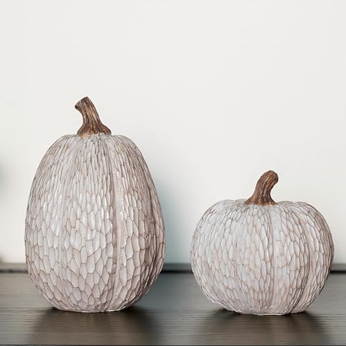 DN DECONATION Kürbis Deko 2er Set – Herbstdeko Kürbis Figuren aus Harz in Braun & Weiß – Deko Kürbisse für Wohnzimmer Tischdeko Halloween Deko Innen Herbstdekorationen von DN DECONATION