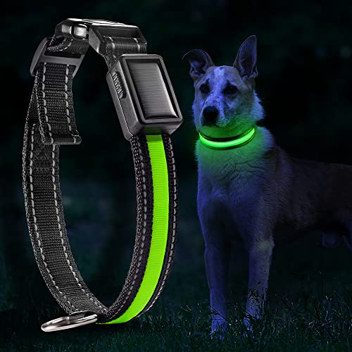 DN DENNOV LED Solar Leuchthalsband Hunde Halsband Leuchtend Hundehalsband USB Wiederaufladbar, Wasserdicht Leuchthalsband für Klein Mittleren Großen und Langhaarigen Hund (L, Green) von DN DENNOV