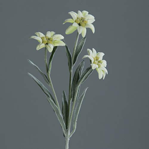DN-Dekor Kunstblume Edelweißpick mit drei Blüten, 1 stück, ca. 30 cm, Creme, Kunststoff, natürlich, rustikal, ARTIFICIAL_PLANT, 675250031 von DN-Dekor