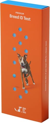 DNA My Dog Premium Rassenidentifizierungstest | 99% Genauigkeit | DNA-Analyse von über 360 Hunderassen | Genetischer Alterstest für Hunde | Schnellste Ausführung in weniger als 3 Wochen | DNA My Dog Premium Rassenidentifizierungstest | 99% Genauigkeit | DNA-Analyse von über 360 Hunderassen | Genetischer Alterstest für Hunde | Schnellste Ausführung in weniger als 3 Wochen | von DNA My Dog