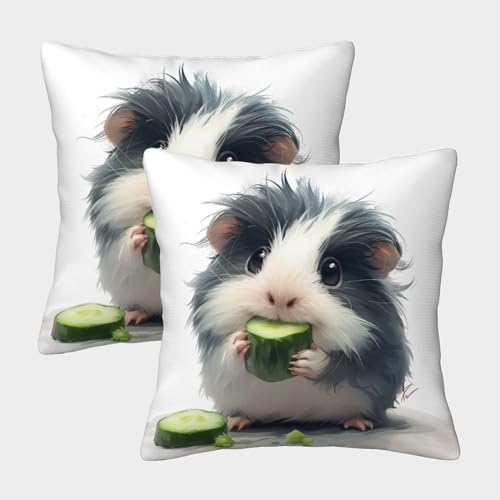 DNAVSOETR Meerschweinchen Weicher modern Kissenbezug Mit Reißverschluss, 2er Pack, Perfekt Für Office Cushion Und Seasonal Decor, Waschbar 50x50cm von DNAVSOETR